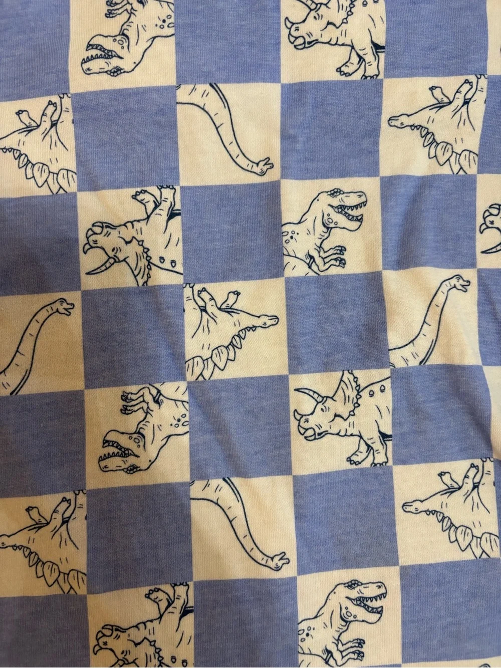 Kids Blue Dino Crew Set